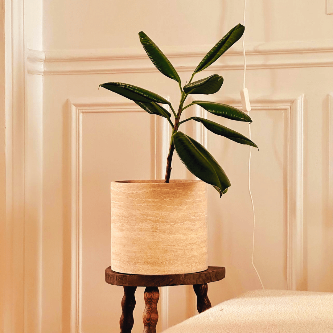 The Golden Sunrise Travertine Vase from Travertable, featuring broad dark green leaves, rests on a small wooden stool against a cream-colored wainscoted wall. A white cord is beside it, and the vase has a light, stone-like texture.